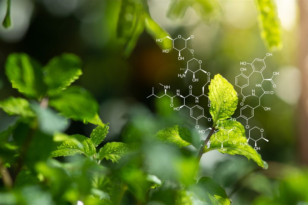 extracción con CO2 supercrítico
