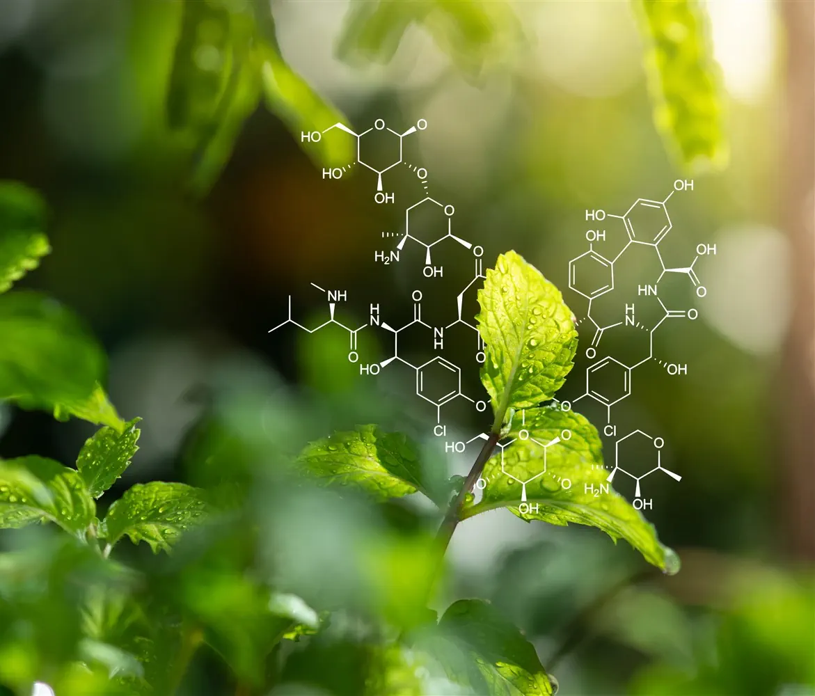 CO2 supercrítico